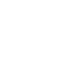 Manzanillo Internacional Terminal - MIT